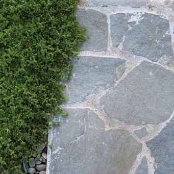 Flagstones Kavala Grey normaalformaat 2-3 cm dik